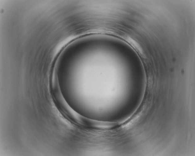 X0000089710854200706211341