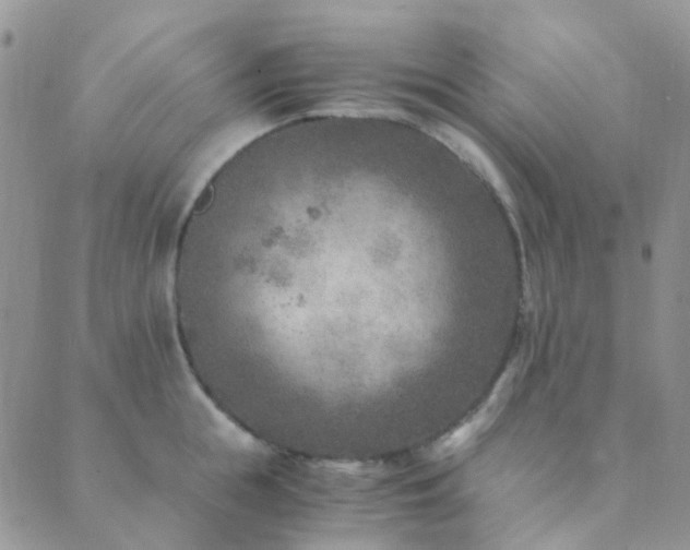 X0000089710855200706211341