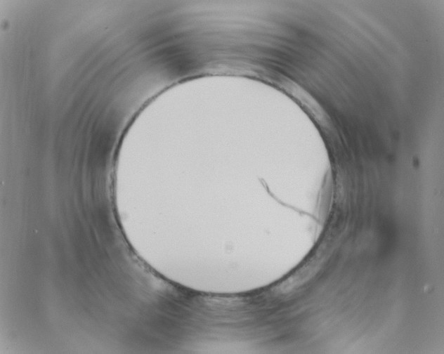 X0000089710856200706211341