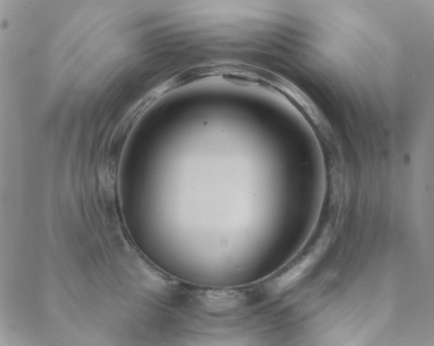 X0000089710857200706211341