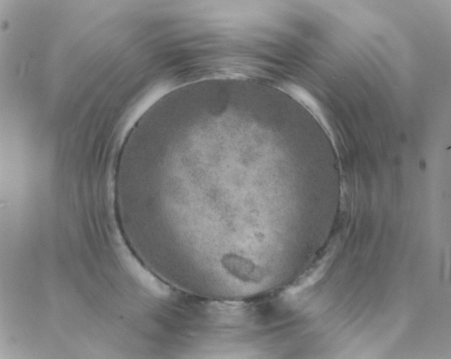 X0000089710859200706211341