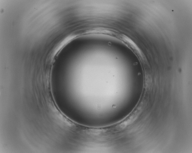 X0000089710860200706211341