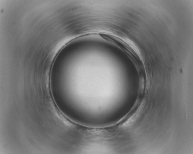 X0000089710862200706211341