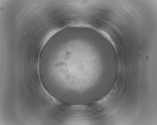 X0000089710863200706211341