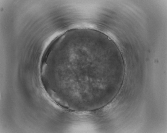 X0000089710864200706211341