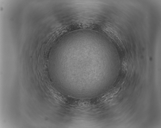 X0000089710865200706211341