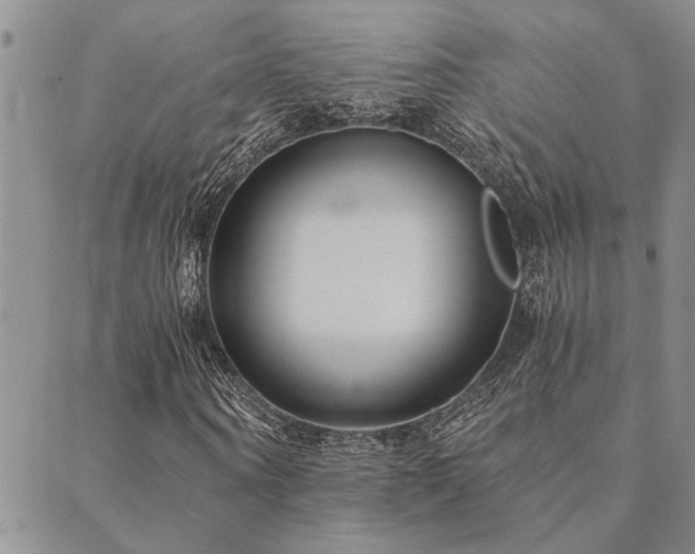 X0000089710866200706211341