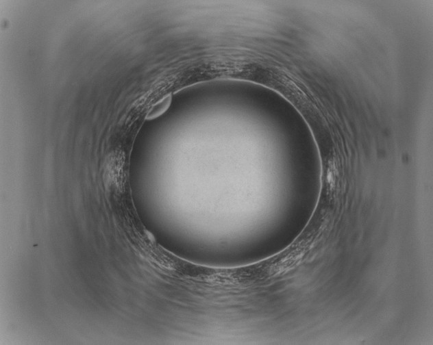 X0000089710867200706211341