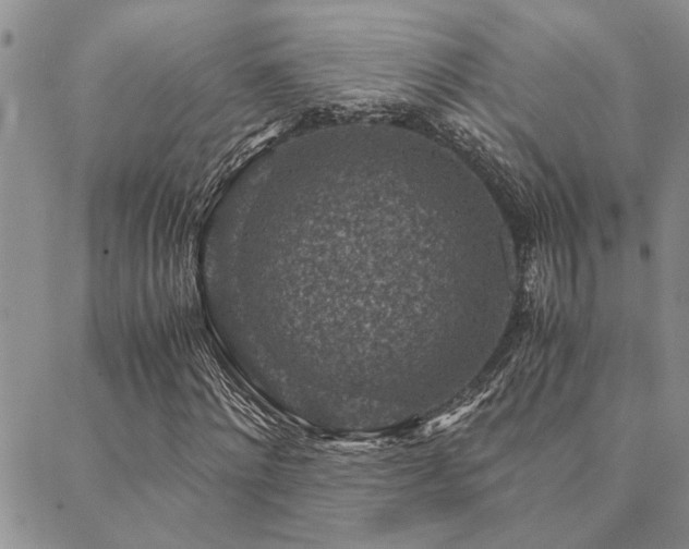 X0000089710868200706211341