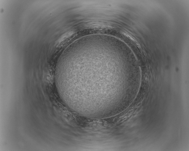 X0000089710869200706211341