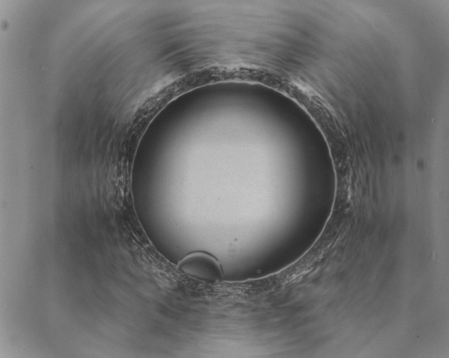 X0000089710870200706211341