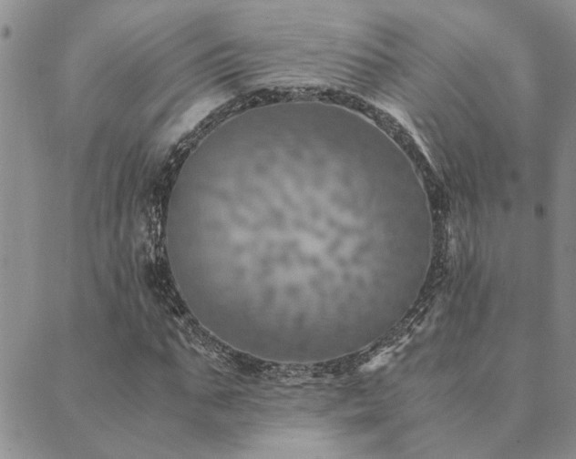 X0000089710871200706211341