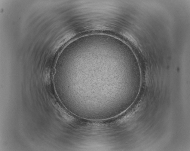 X0000089710873200706211341