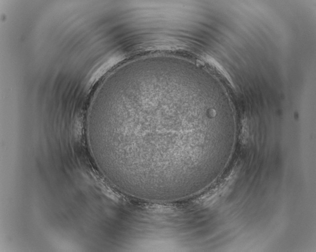 X0000089710874200706211341