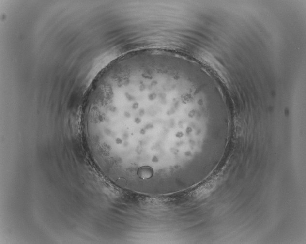 X0000089710875200706211340