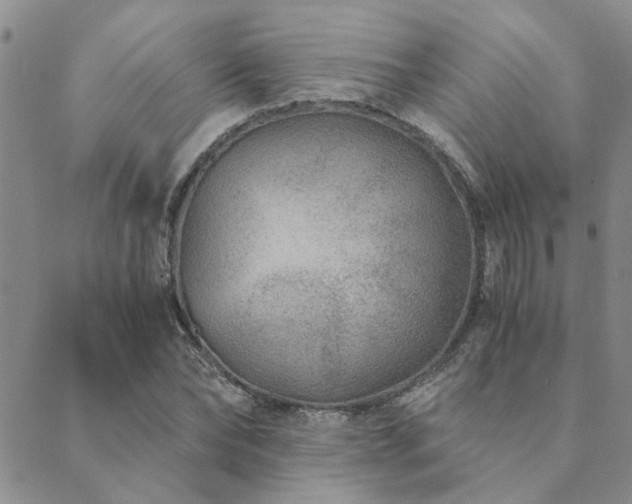 X0000089710878200706211340