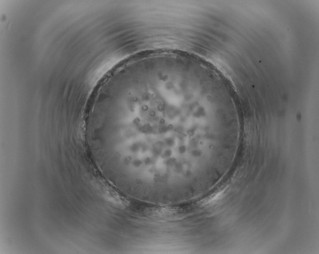 X0000089710879200706211340