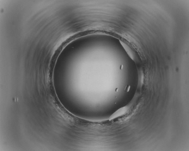 X0000089710880200706211340