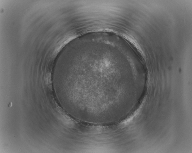 X0000089710881200706211340