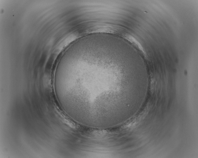 X0000089710882200706211340