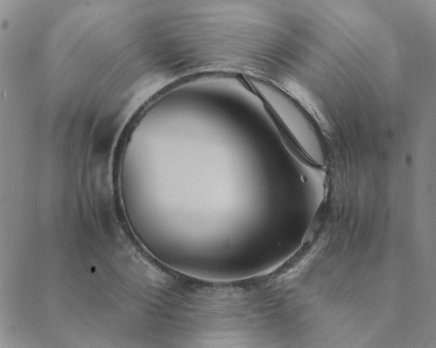 X0000089710884200706211340