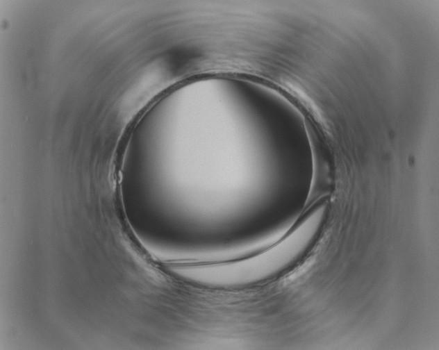 X0000089710885200706211340