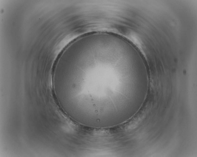 X0000089710887200706211340