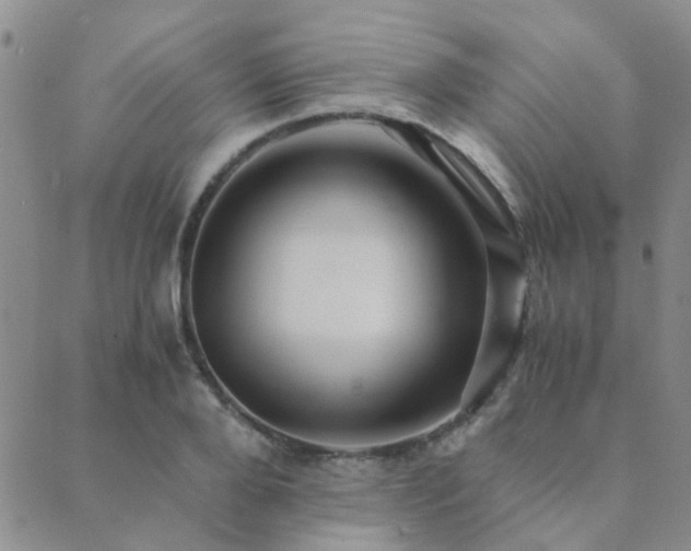 X0000089710888200706211340