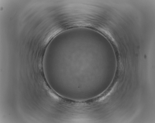 X0000089710889200706211340