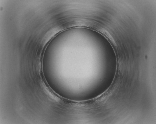 X0000089710890200706211340