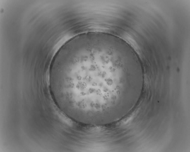 X0000089710891200706211340