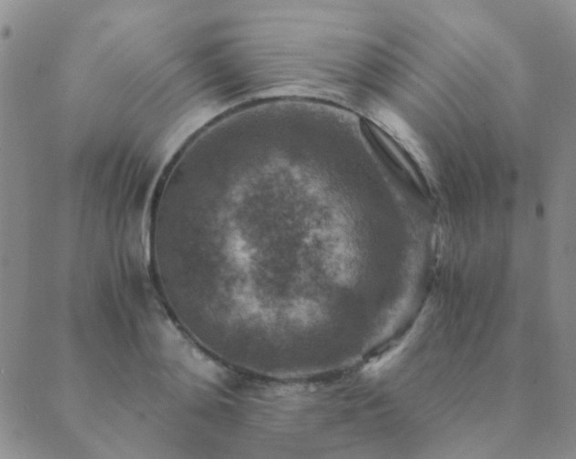 X0000089710892200706211340