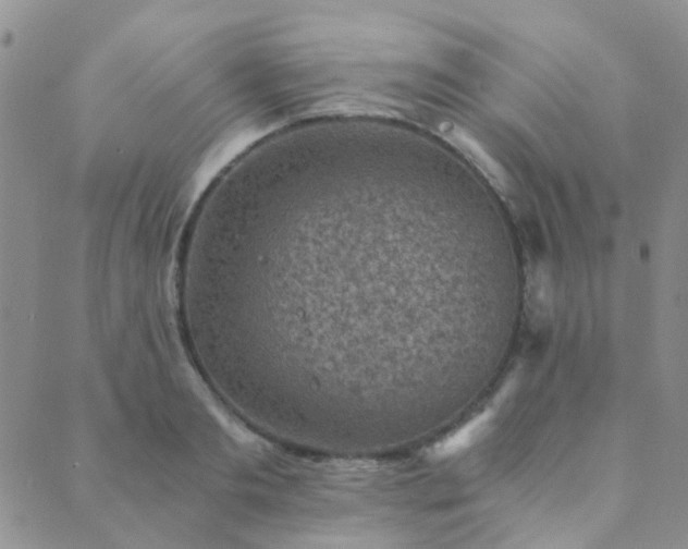 X0000089710893200706211340