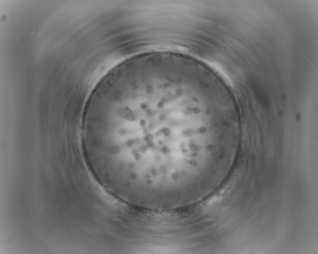 X0000089710895200706211340