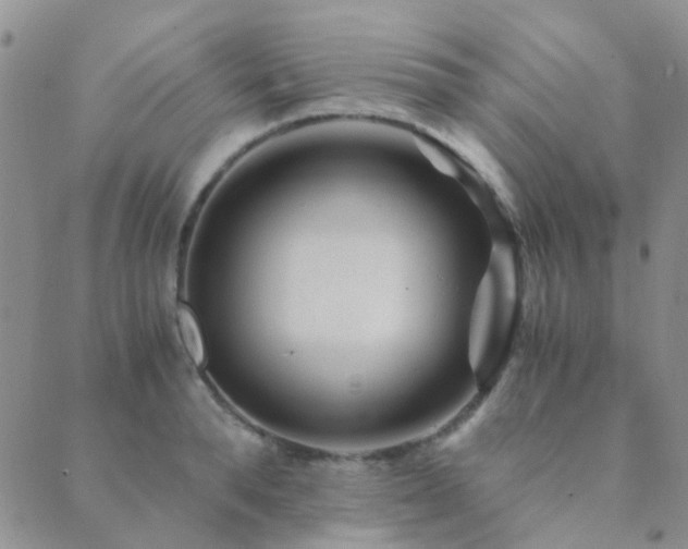 X0000089710896200706211340