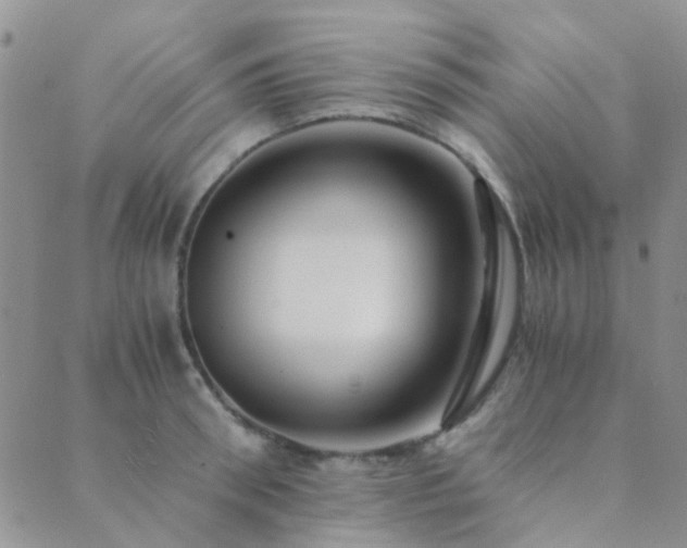 X0000089710898200706211340