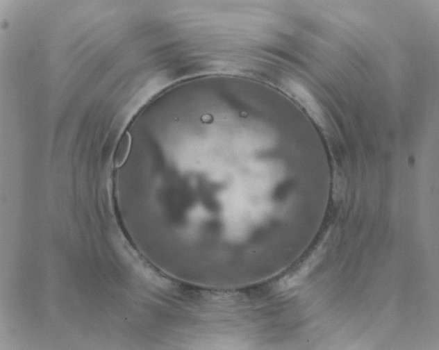 X0000089710899200706211340