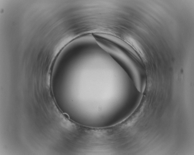 X0000089710900200706211340