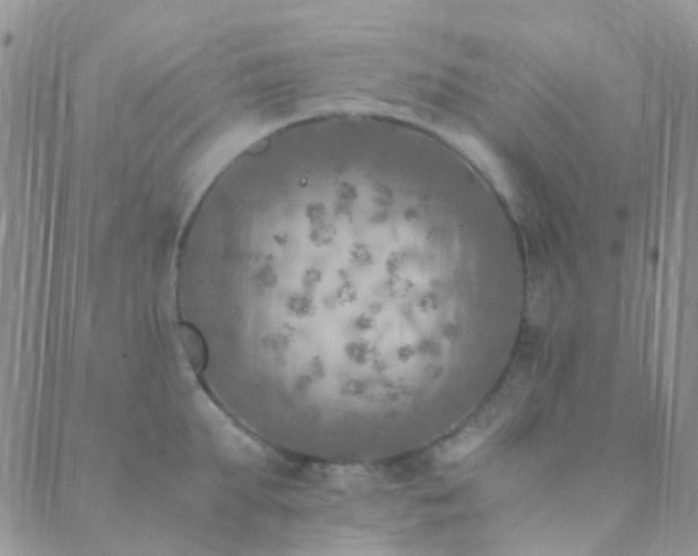 X0000089710903200706211340