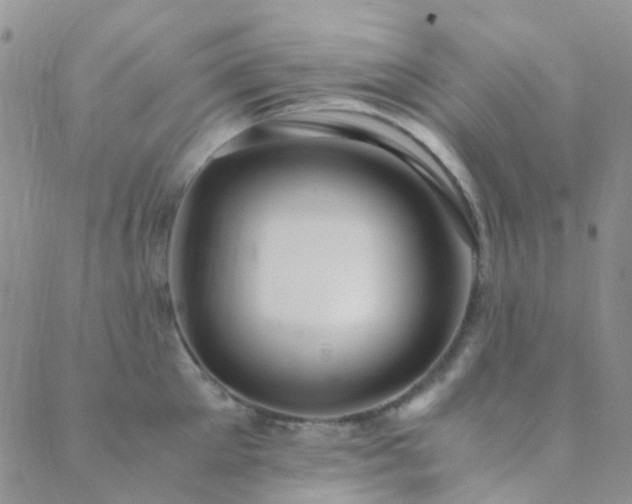 X0000089710905200706211340