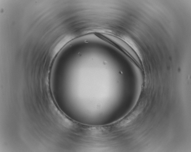 X0000089710906200706211340