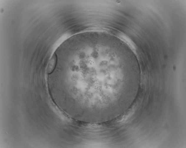 X0000089710907200706211340