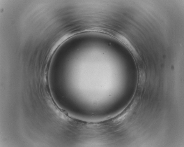 X0000089710908200706211340