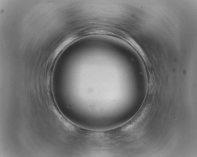 X0000089710909200706211340