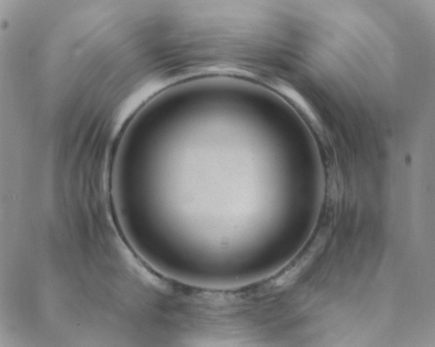 X0000089710910200706211340