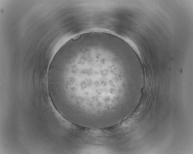 X0000089710911200706211340