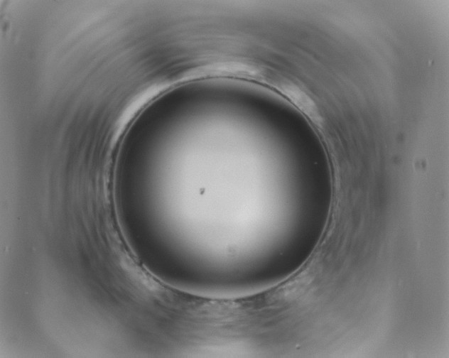 X0000089710912200706211340