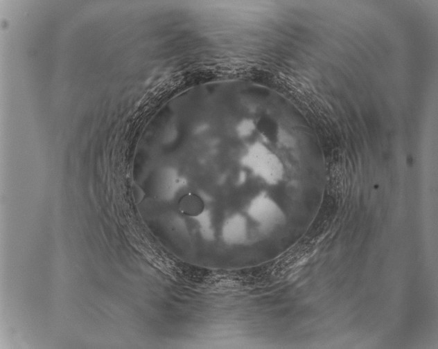 X0000089710913200706211339