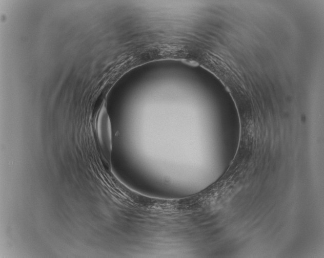 X0000089710914200706211339