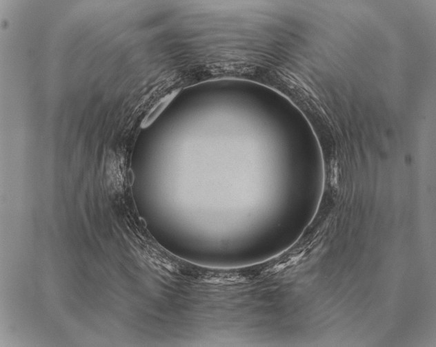 X0000089710915200706211339